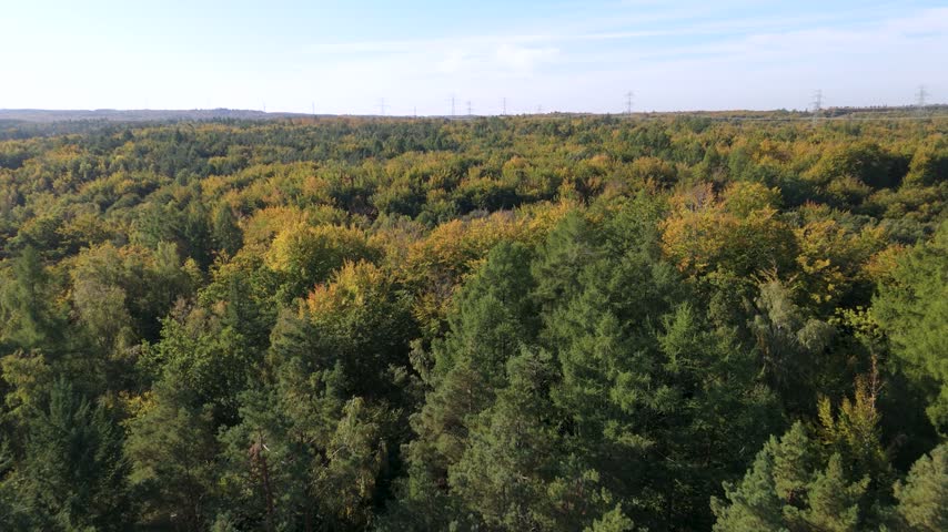 A vast expanse of a mature forest displaying vibrant fall colors from an elevated perspective. This natural landscape highlights seasonal transitions, woodland ecosystems, and broad ecological expanse