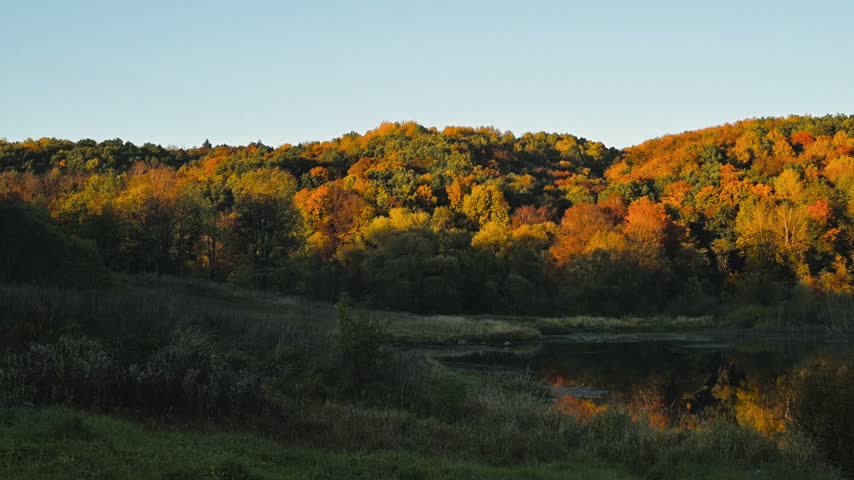 vibrant autumn colors reflected in a calm lake, with a backdrop of lush trees.