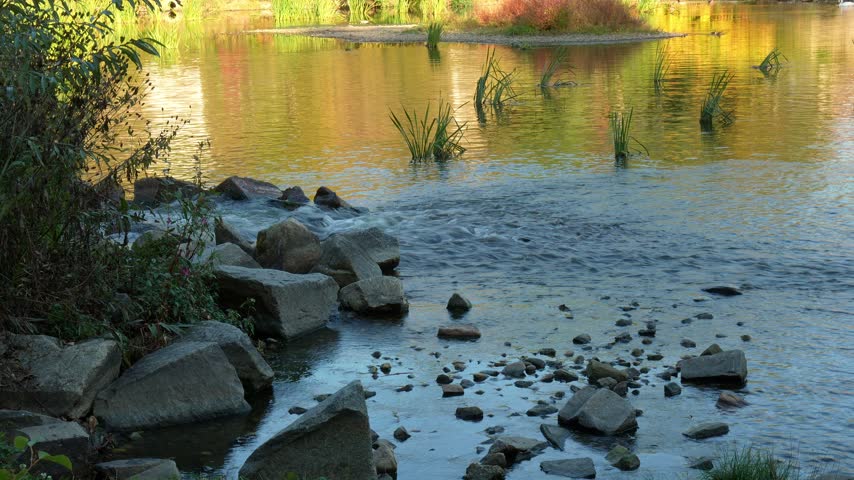 Small rapids and flowing water over rocks in the Ilz river surrounded by autumn foliage and reeds.