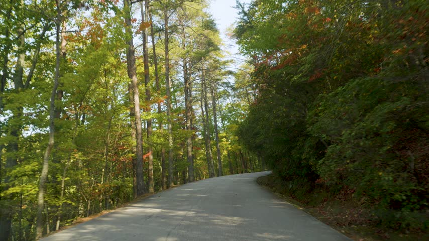 Vibrant Fall Park Forest. POV Driving Car at Mountains Road With Autumn Fall Foliage on Trees Scenic Road With Colorful leaves. Driving Paris Mountain State Park, South Carolina on Sunny Autumn Day. 