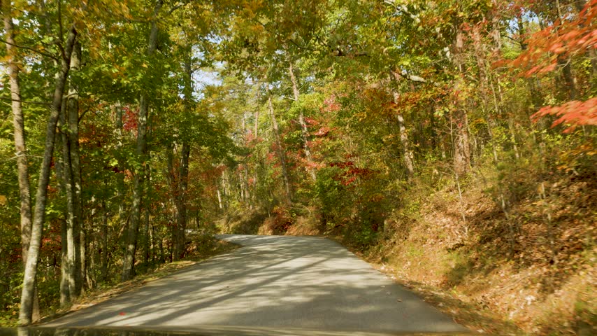 Vibrant Fall Park Forest. POV Driving Car at Mountains Road With Autumn Fall Foliage on Trees Scenic Road With Colorful leaves. Driving Paris Mountain State Park, South Carolina on Sunny Autumn Day. 