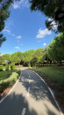 walking path in the park