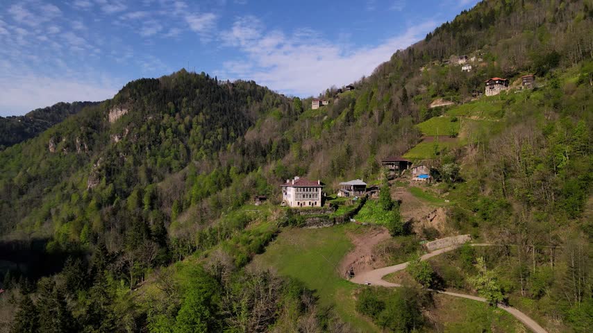 Historical mansions. Historic mansions among green forests, trees and meadows. Footage of old mansions made of wood and stone.