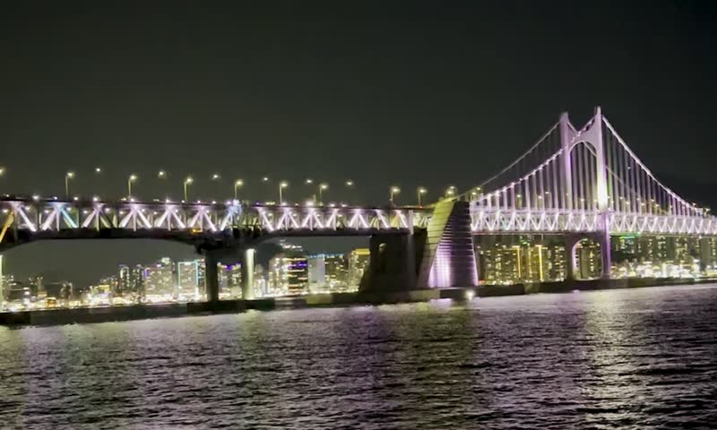 Illuminated suspension bridge and city skyline reflected on the water at night.
