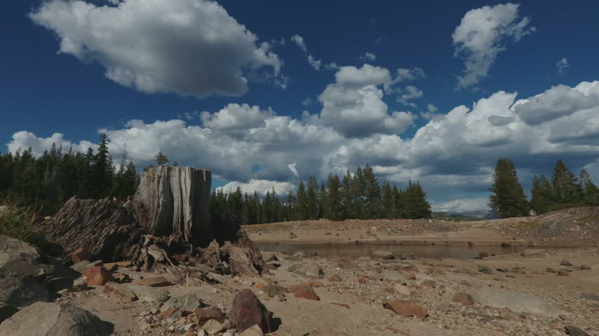 Fluffy clouds drift over an old tree stump on a dry lakebed   