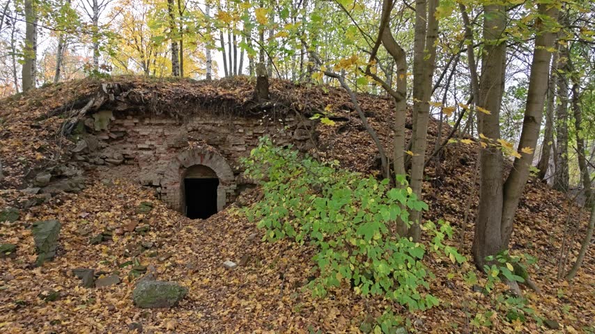A cave in the middle of a forest filled with leaves.