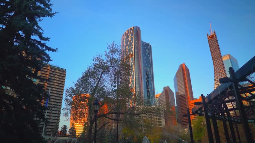 Low-angle scenic view looking up from Olympic Plaza toward the towering modern skyscrapers of the central business district in Calgary, Alberta, Canada, showcasing the distinctive curved glass grid of The Bow skyscraper illuminated by a warm sunset golden hour glow behind leafy autumn trees.