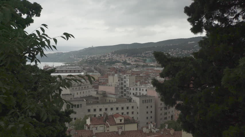 Elevated view of Trieste, Friuli Venezia Giulia, Italy, framed by dark tree branches, with rooftops, port warehouses, a ship in the Gulf of Trieste and hills along the coast under a grey sky.