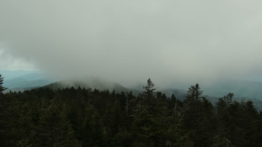 A panorama of mountains covered with green trees from above, a cloudy sky and coniferous trees in the foreground