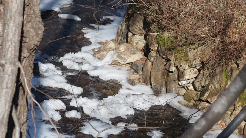 Stream flowing past snow-covered stones and bare trees in a winter landscape.