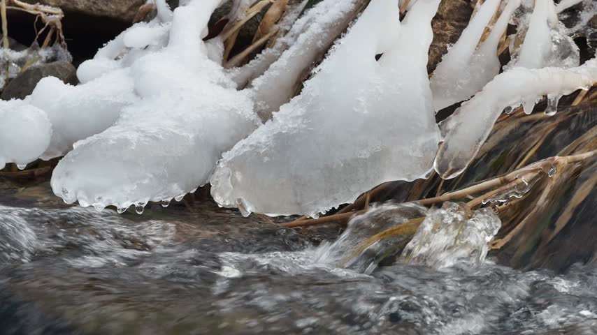 Ice forms on stones and dry reeds along a flowing winter river.