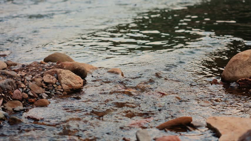 Clear Water Flowing Over Smooth River Stones in a Peaceful Natural Creek Setting