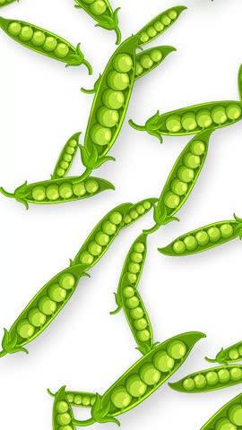 Green pea pods fall continuously in a vertical loop against a clean white background.