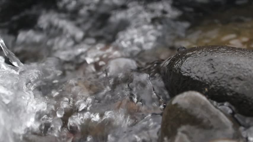 Close up shot of crystal clear water flowing rapidly over smooth river rocks in a lush natural stream
