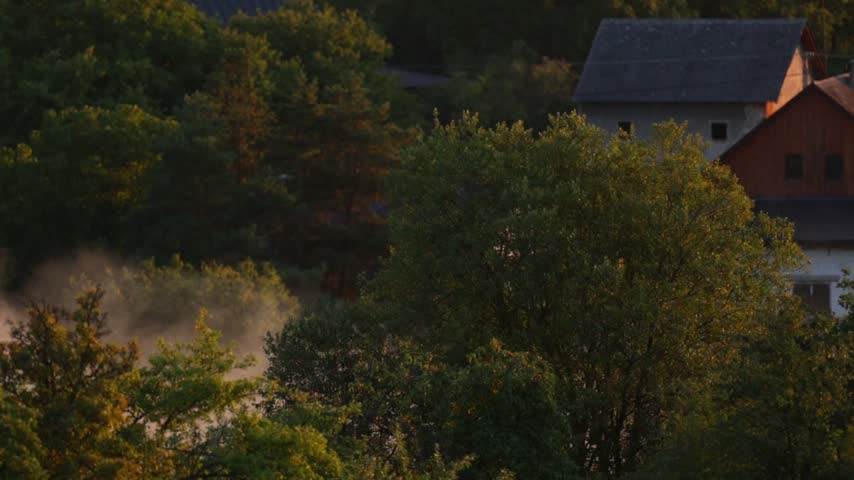 Traditional rural houses surrounded by dense summer mist at the edge of a lush green woodland during twilight hours