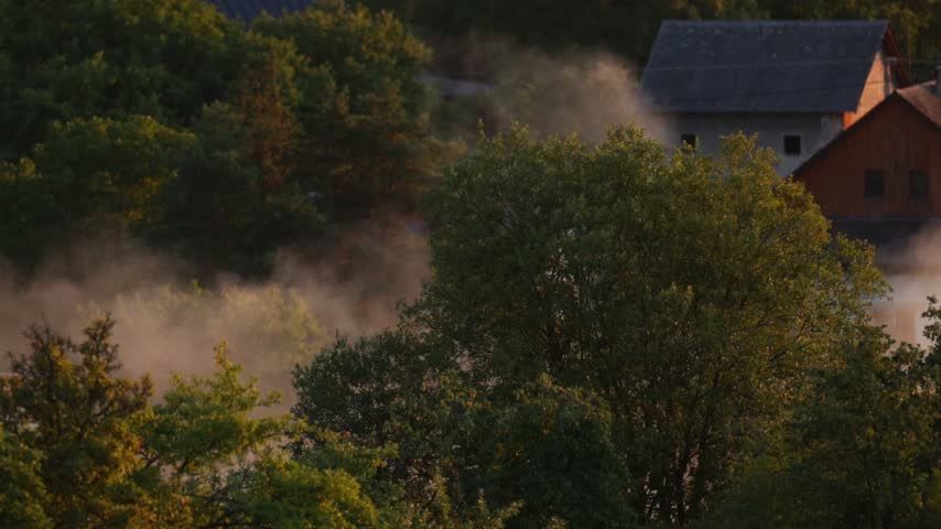 Traditional rural houses surrounded by dense summer mist at the edge of a lush green woodland during twilight hours