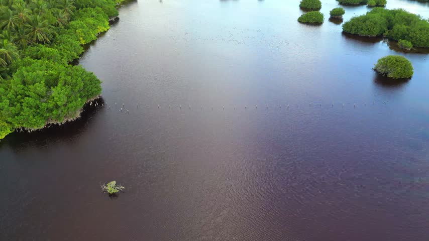 Aerial view of a mangrove lagoon on Saona Island, Dominican Republic, showing dark reddish water, scattered green islands, wetland vegetation, and calm waterways.