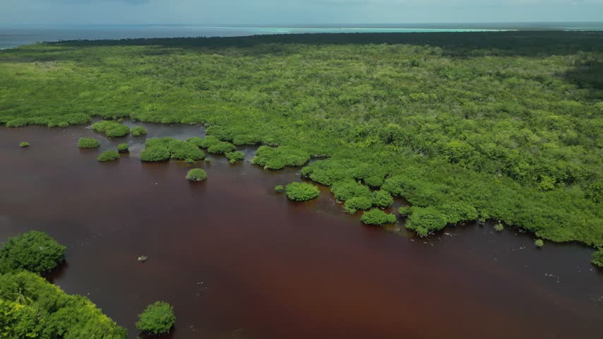 Aerial view of a reddish-brown mangrove lagoon on Saona Island, Dominican Republic, with green wetland vegetation and turquoise Caribbean sea beyond.