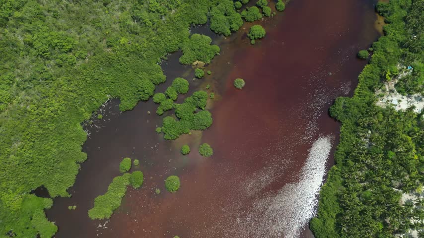 Aerial view over a dark reddish mangrove lagoon on Saona Island, Dominican Republic, surrounded by lush tropical wetlands and narrow waterways.
