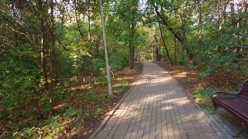 A sunlit paved path winds through a green forest park, lined with tall trees and scattered autumn leaves. Quiet, peaceful trail ideal for walking, jogging, nature strolls and outdoor relaxation.