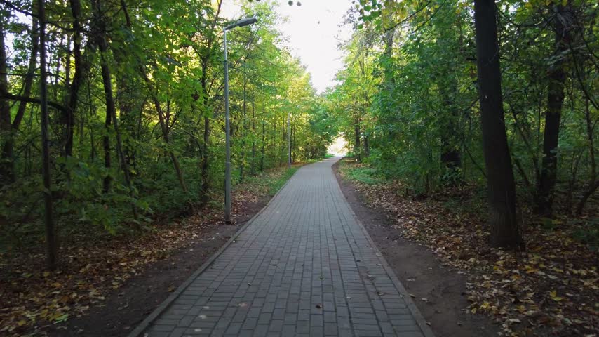 A sunlit paved path winds through a green forest park, lined with tall trees and scattered autumn leaves. Quiet, peaceful trail ideal for walking, jogging, nature strolls and outdoor relaxation.