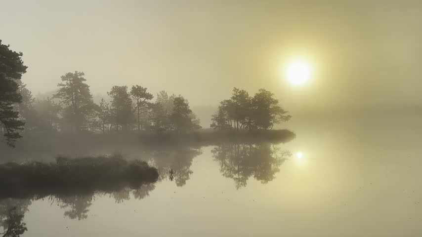 Misty Sunrise over a Calm Lake with Forest Reflections