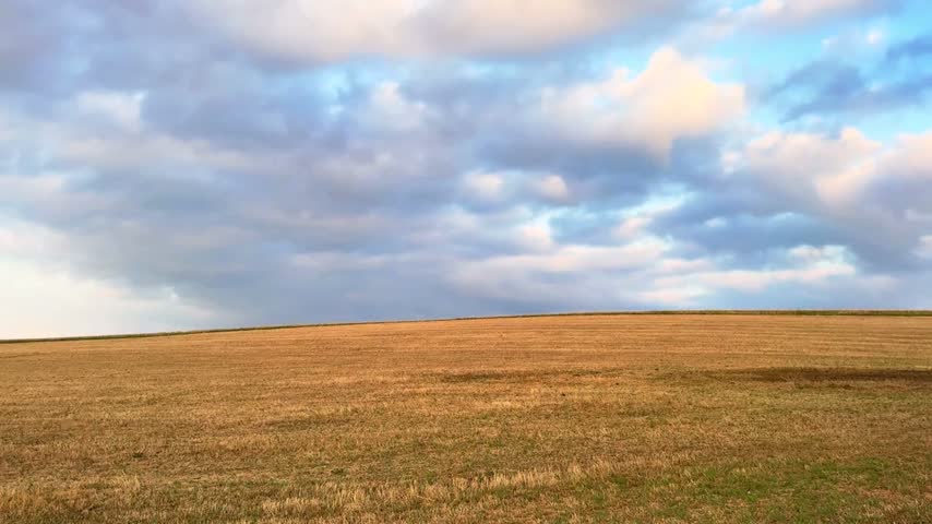 Vast farmland under cloud sky