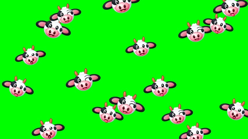 Numerous animated cartoon cow heads float dynamically across a vibrant green chroma key backdrop in a looping motion, each smiling bovine character displays playful facial expressions including winking eyes and sticking out pink tongues, the bright colorful vector illustrations create a cheerful and whimsical visual graphic pattern for various projects.