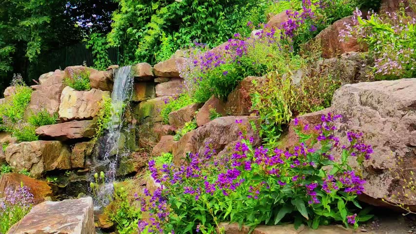 A small waterfall flows down rocks in a garden. Colorful flowers grow around the rocks. The sun shines on the lush greenery, creating an inviting atmosphere.