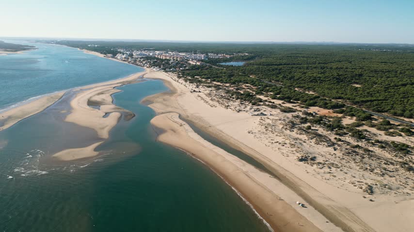Shifting sandbars at a river mouth meet the sea where an unbroken forest on one side faces a sprawling town on the other, under clear bright blue daylight.