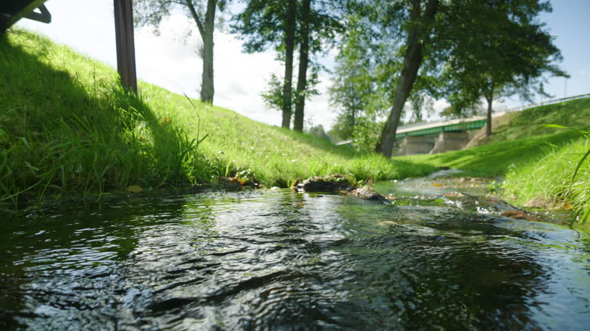 Clear shallow stream flowing through green park in summer