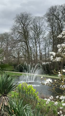 Spring garden pond with water fountain, blooming white flowers and lush green plants. Peaceful landscaped park scene with moving water.