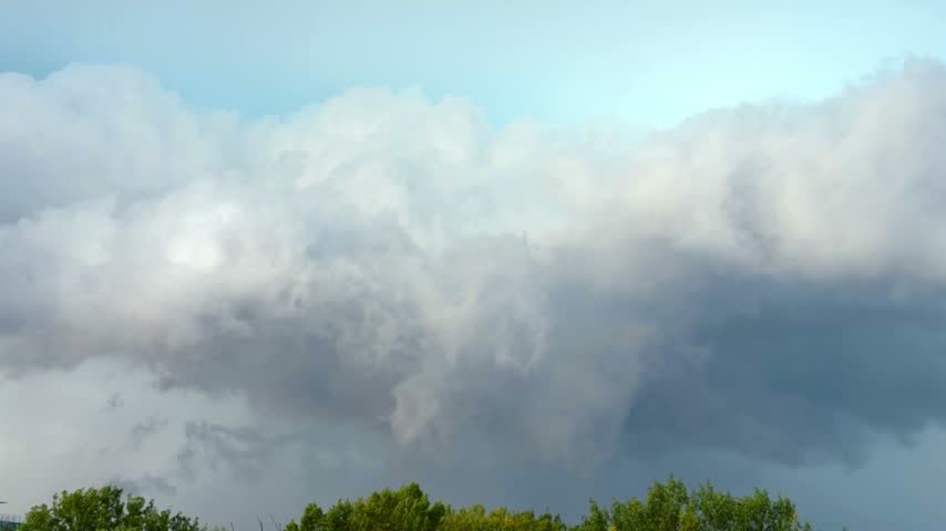 Storm clouds over green tree line. Dark grey and white storm clouds loom above a line of green trees.