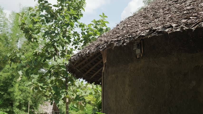 Static View of a Traditional Earthen Hut Among Trees