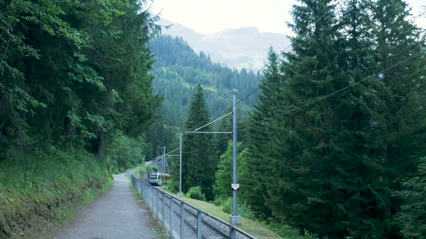 Electric train passing through a lush green alpine forest on a mountain railway line. Switzerland