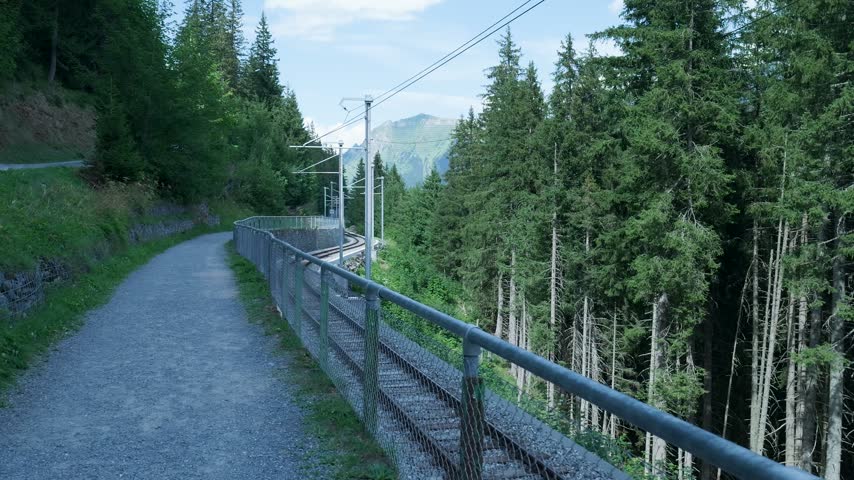 Scenic railway line and a walking path winding through a dense green forest in the mountains. Switzerland