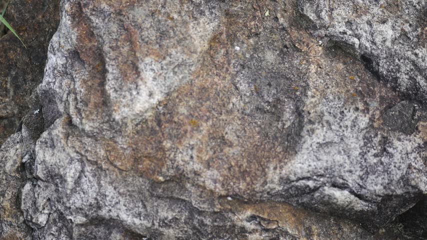 Camera Pans Across Rocky Texture on Boulder