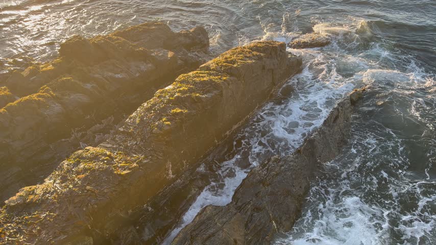 High-angle view of rugged rock ledges covered in yellow-green lichen and moss, lit by warm low sunlight, with ocean water swirling and foaming around the rocks. Sparkling highlights on the water.
