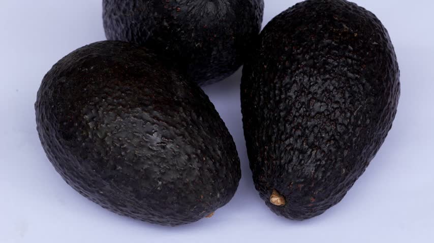 4K harvested Hass avocados isolated on white background for food advertising