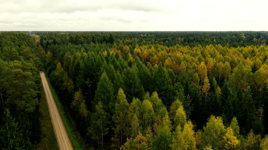 Aerial landscape showing an expansive mixed forest with green and golden autumn foliage, open fields, distant waterways, and a broad horizon beneath an overcast sky.