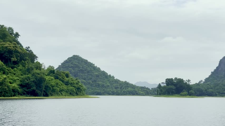 Reservoir Landscape , Tree Stumps, Forest, Reflection , Rocky Cliffs