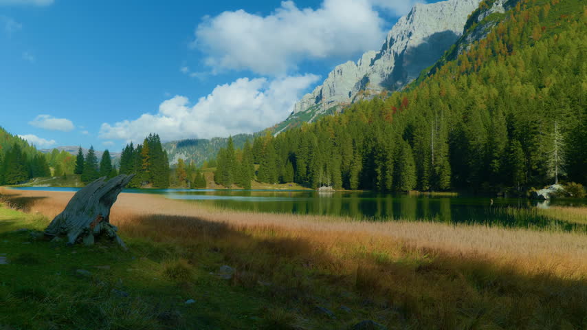 Mountain lake alpine forest peaks reflected in calm water with a wooden stump in the foreground. Scenic wilderness landscape under blue sky, static handheld shot.