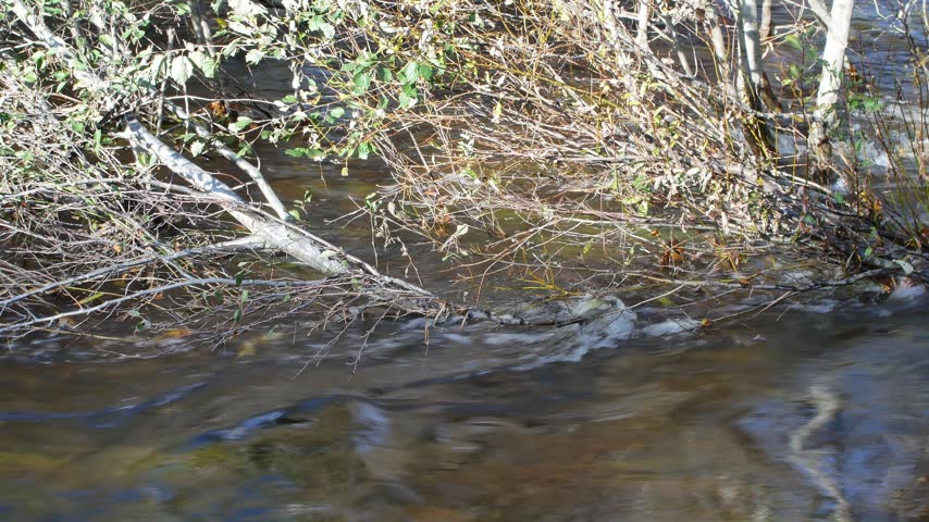 A dynamic video capturing powerful, fast-flowing floodwater rushing through the scenic Hupisaaret city park in Oulu, Finland, during a crisp autumn day.