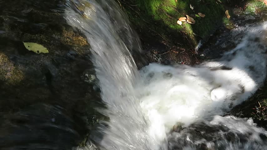 White Water Rushing Down a Rocky Stream