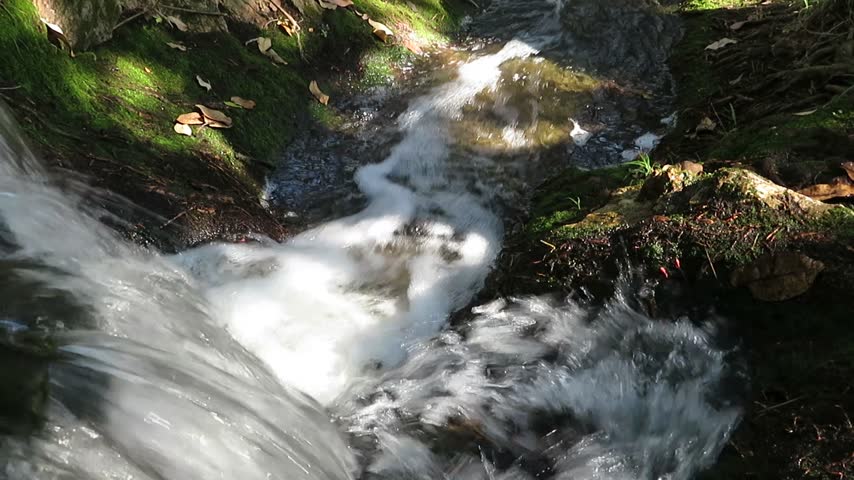 Rushing Stream Rapids Flowing Over Rocks