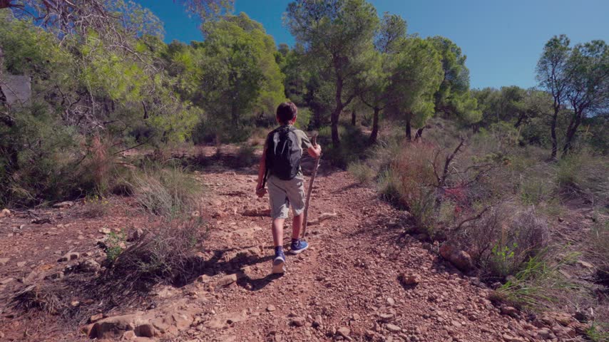 Boy Hiking in the Mountains on an Outdoor Adventure