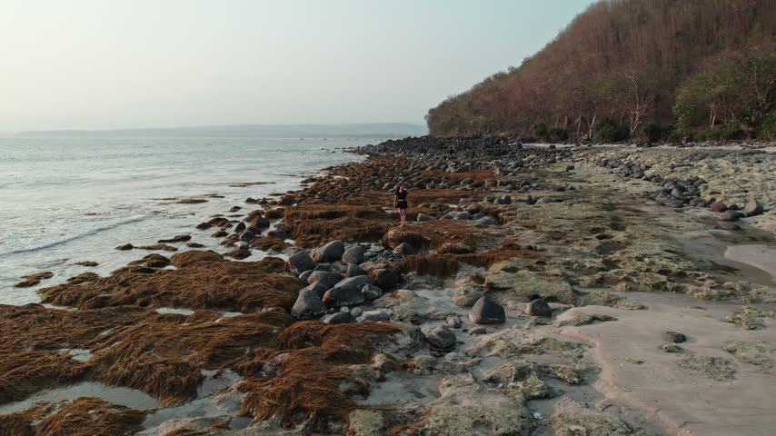 Aerial view of an Asian woman standing on a rocky seaweed coastline with crashing waves.
