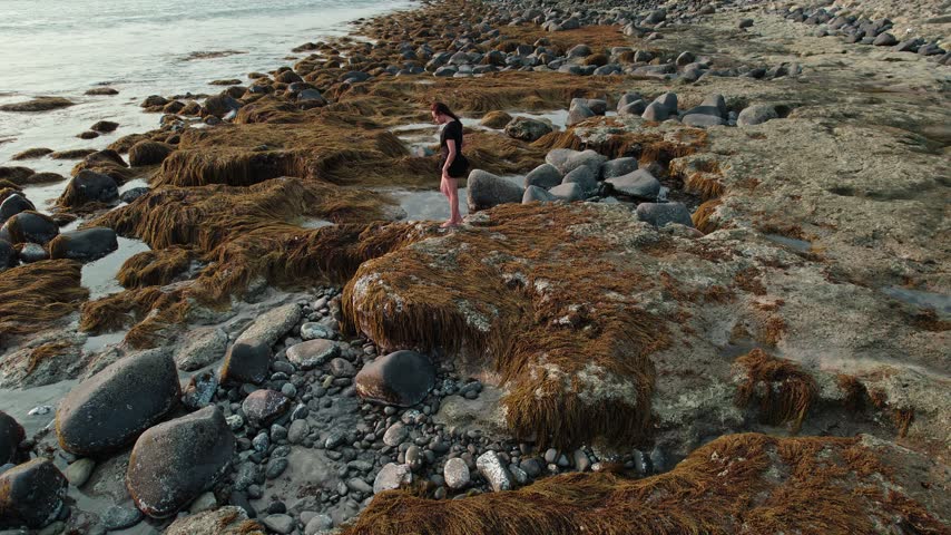 Aerial view of an Asian woman standing on a rocky seaweed coastline with crashing waves.
