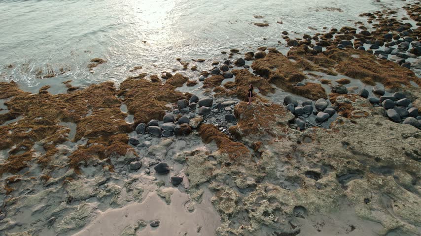 Aerial view of an Asian woman standing on a rocky seaweed coastline with crashing waves.
