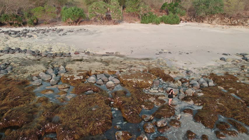 Aerial view of an Asian woman standing on a rocky seaweed coastline with crashing waves.
